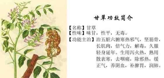 甘草有哪些作用与功效图5