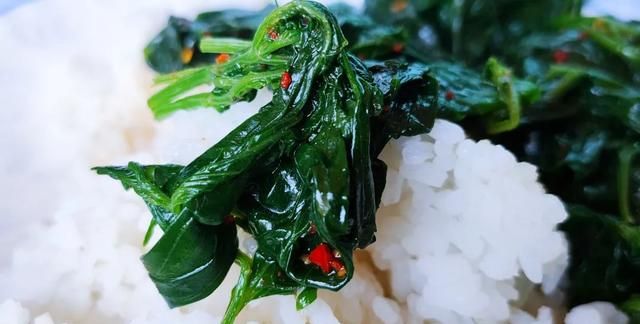 盛夏的野海椒尖，又一道悦性食养佳肴，你值得尝试