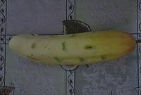钦州瓜皮怎么腌制又脆又好吃图1