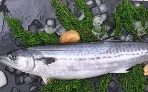 马鲛鱼怎么做才好吃,冻的马鲛鱼怎样做才好吃