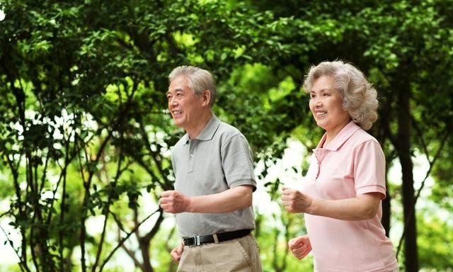 老年人健康饮食：多吃这些食物，让你健康到老！