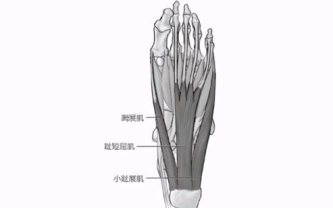 足部按摩器有用吗