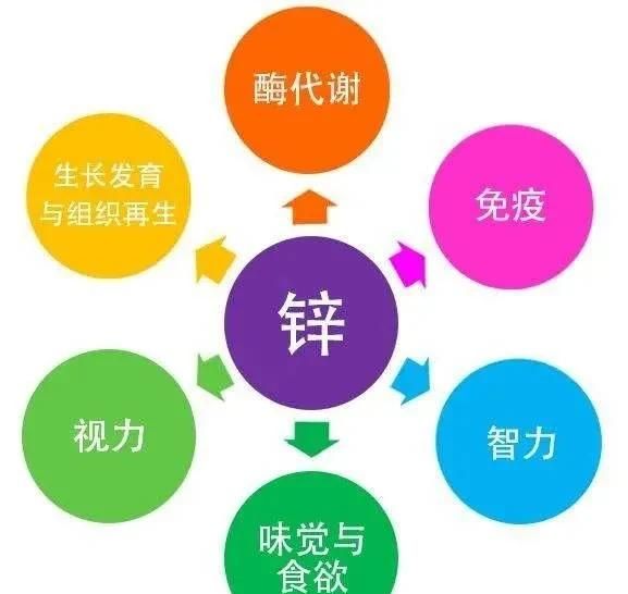 赖氨葡锌颗粒和葡萄糖酸锌哪个好图3