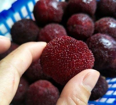 让你停不下筷子的糖水杨梅