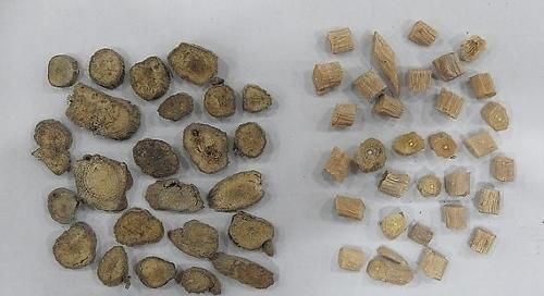 被誉为四大怀药之一，补肝肾、强腰膝离不了！