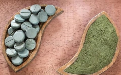 螺旋藻的功效和作用及食用方法