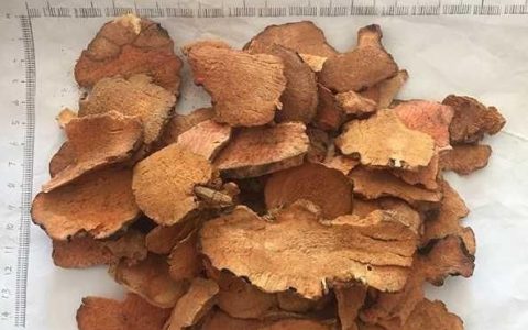 灵芝五指毛桃土茯苓牛大力一起炖汤的功效