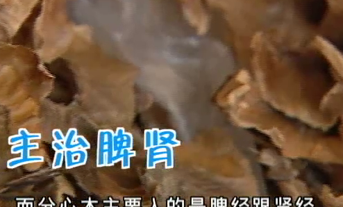 核桃里的下脚料是治病良药？！但跟您听说的治疗失眠没有半毛关系