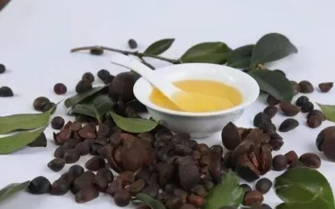 山茶油好吃吗?(山茶油只有云南有吗)