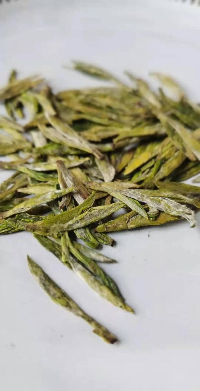 老茶怎么泡好喝(大可堂老茶冲泡方法)图5