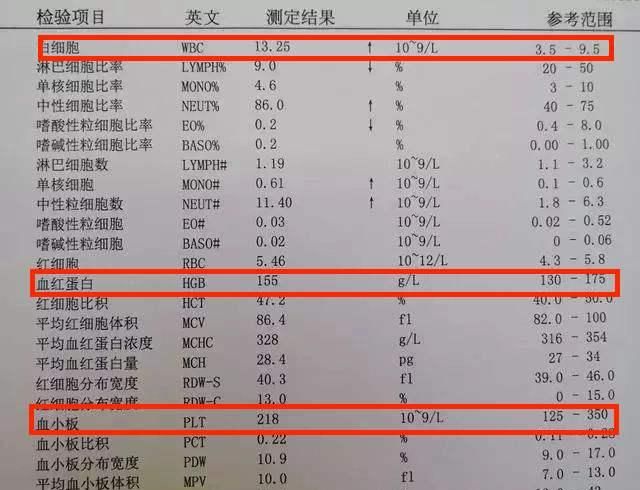 教你快速看懂血常规