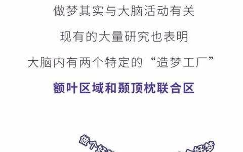 经常做梦是身体哪里出问题了?