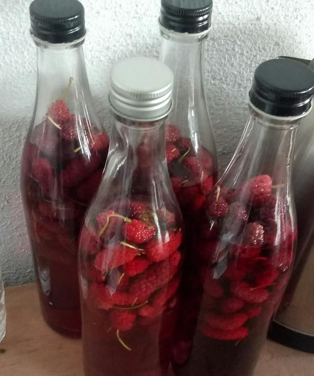 晚上喝桑葚酒的功效与作用有哪些图1
