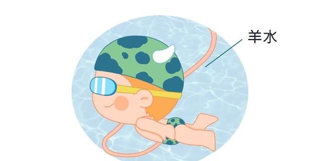 椰子水可以补羊水吗图8
