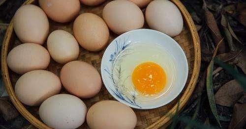 给鸡喂辣椒有什么作用和功效图2