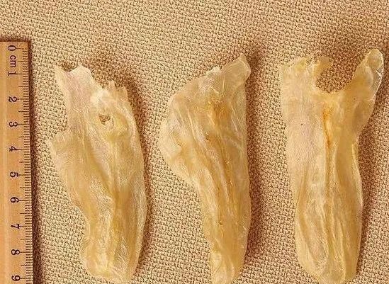 花胶怎样吃？怎样选？越贵越好吗？看这一篇就够了