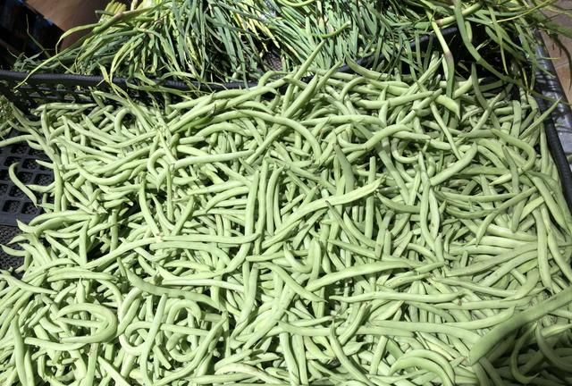芸豆、豆角、四季豆，南北叫法差异大，看它们到底谁是谁？