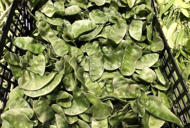 芸豆、豆角、四季豆，南北叫法差异大，看它们到底谁是谁？