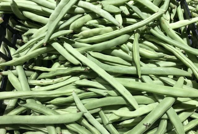 芸豆、豆角、四季豆，南北叫法差异大，看它们到底谁是谁？