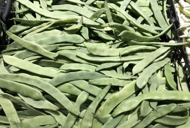 芸豆、豆角、四季豆，南北叫法差异大，看它们到底谁是谁？