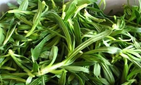 有名的野生菜是哪几种,野生八宝菜是什么菜图2