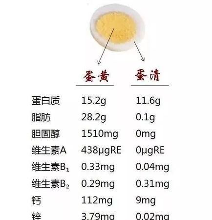 每天吃鸡蛋的人和每天不吃鸡蛋的有什么区别吗图5