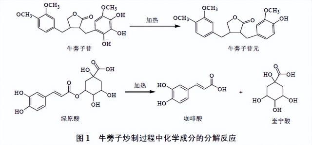 “逢子必炒”炮制理论的传统认识与现代研究