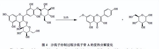 “逢子必炒”炮制理论的传统认识与现代研究