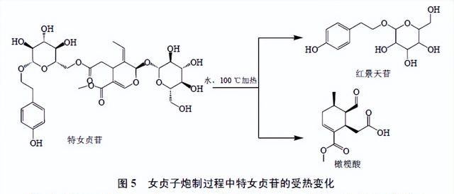 “逢子必炒”炮制理论的传统认识与现代研究