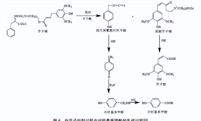 “逢子必炒”炮制理论的传统认识与现代研究