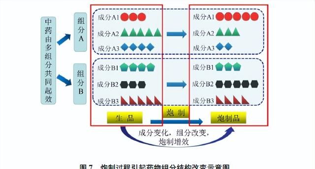 “逢子必炒”炮制理论的传统认识与现代研究