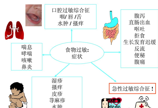 该添加辅食啦，过敏体质的宝宝怎么吃？儿科医生来支招，赶紧收藏