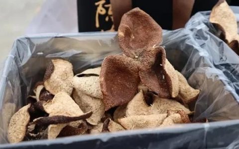 晒果皮用什么方法