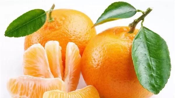 虾红素对柑橘的作用有哪些呢,虾红素对柑橘的副作用图8