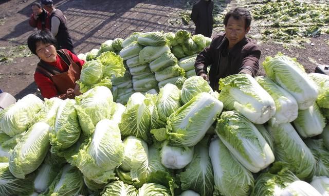 一声“翠花，上酸菜”，为何能勾起满社会对老东北酸菜的馋虫