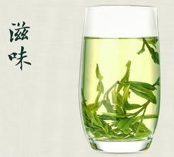 日照绿茶的正确冲泡方法,日照绿茶叶片厚耐冲泡图2