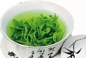 日照绿茶的正确冲泡方法,日照绿茶叶片厚耐冲泡图5