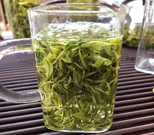 日照绿茶的正确冲泡方法,日照绿茶叶片厚耐冲泡图8