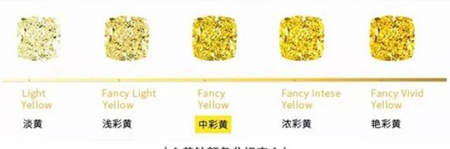 怎么选黄钻,黄钻兑换快币图1