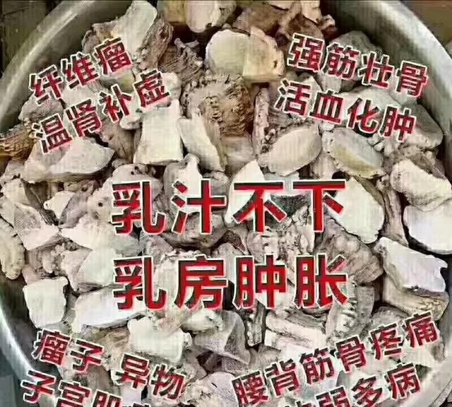 梅花鹿茸是梅花鹿的哪个部位(市场上的梅花鹿茸是真的梅花鹿)图3