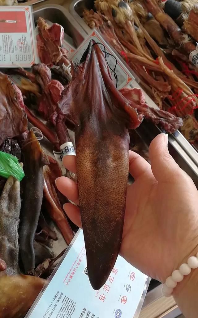 梅花鹿茸是梅花鹿的哪个部位(市场上的梅花鹿茸是真的梅花鹿)图5