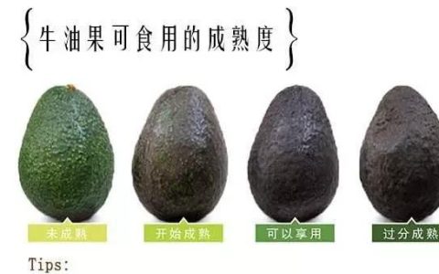 多大的宝宝可以吃牛油果