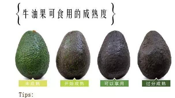 多大的宝宝可以吃牛油果图1