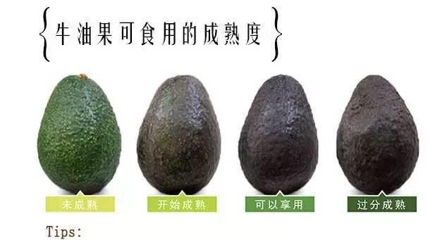 多大的宝宝可以吃牛油果图8
