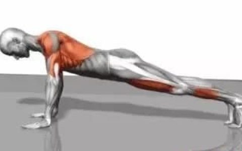 俯卧撑你做对了吗?来看看俯卧撑的正确做法吧!