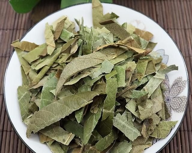 很多“阳过”的人都不知道，枇杷叶除了煮水喝，还有这些使用方法