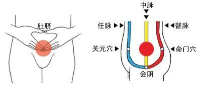 丹田是身上的财位、丁位、文昌位，养好丹田才能丁财两旺啊