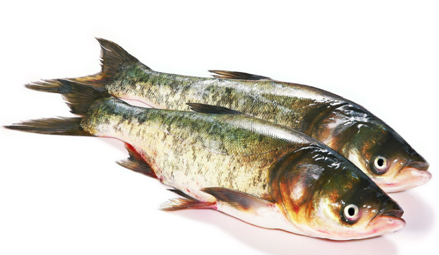 鱼头鱼身就该分开吃，鱼头炖汤，鱼身红烧，鲜美无比