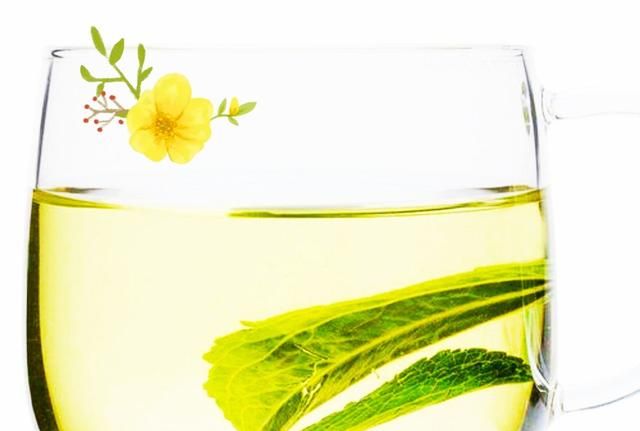 甜叶菊泡水有什么功效图1