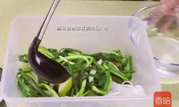 韩式萝卜泡菜